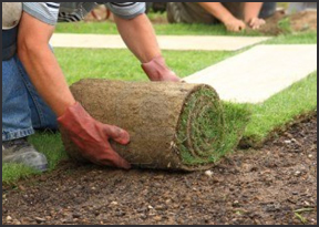 Sod Installation and Sod Preparation in Baldwin County AL